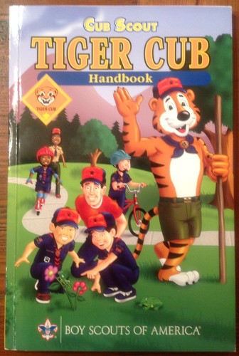 Cub scout tiger - scout,